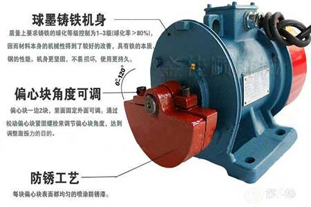 金佳順--振動(dòng)篩電機(jī)結(jié)構(gòu)圖